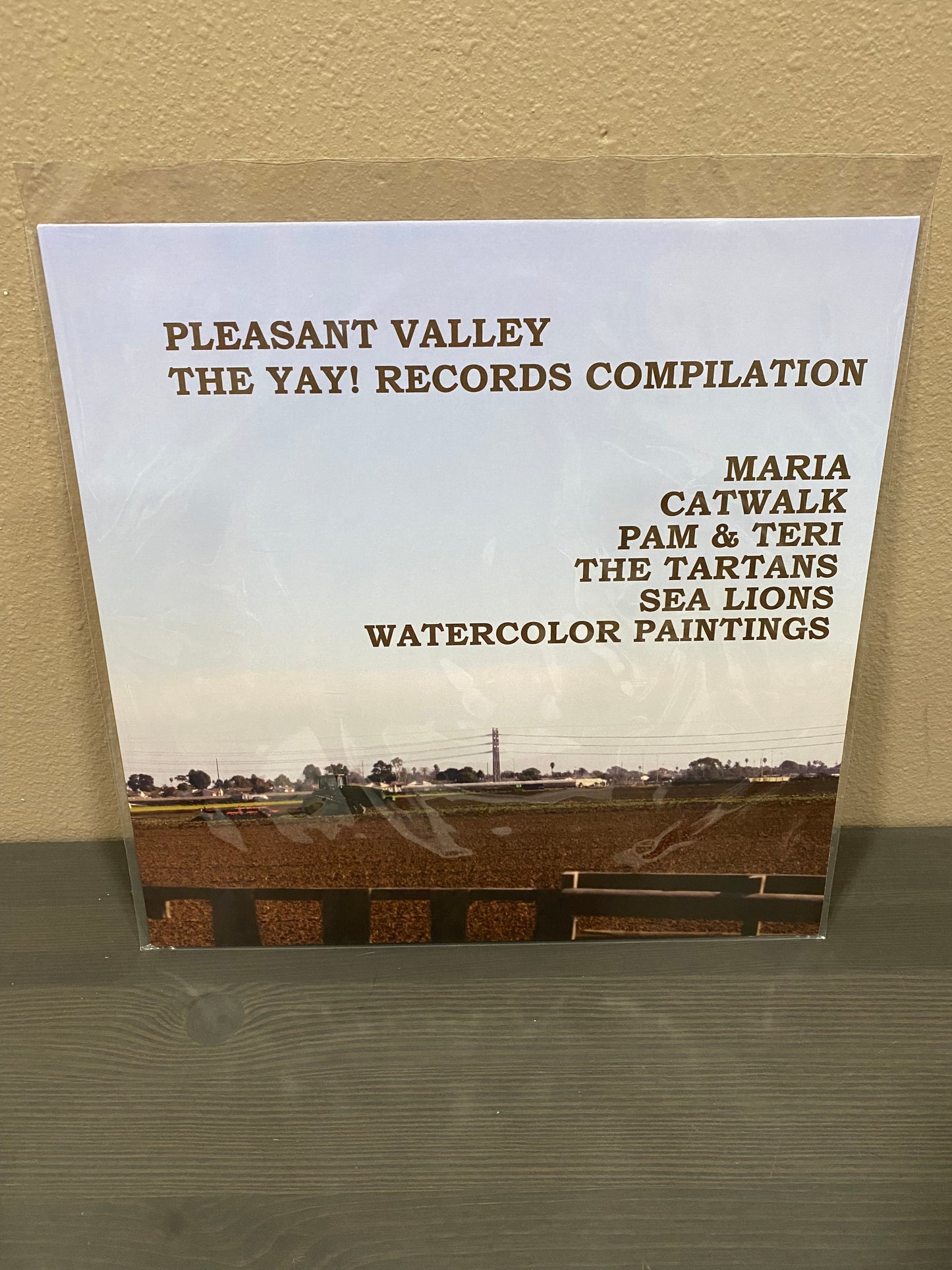 YAY! Records Compilation LP "Pleasant Valley" INDIEPOP Sea Lions Maria Catwalk C86 SARAH