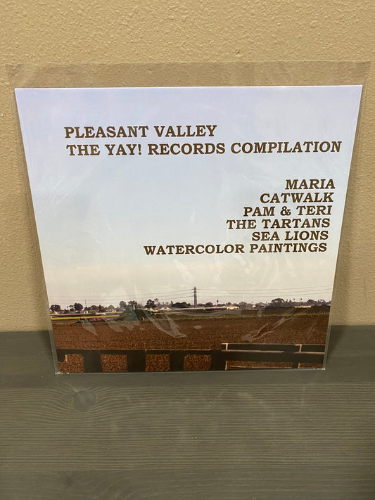 YAY! Records Compilation LP "Pleasant Valley" INDIEPOP Sea Lions Maria Catwalk C86 SARAH
