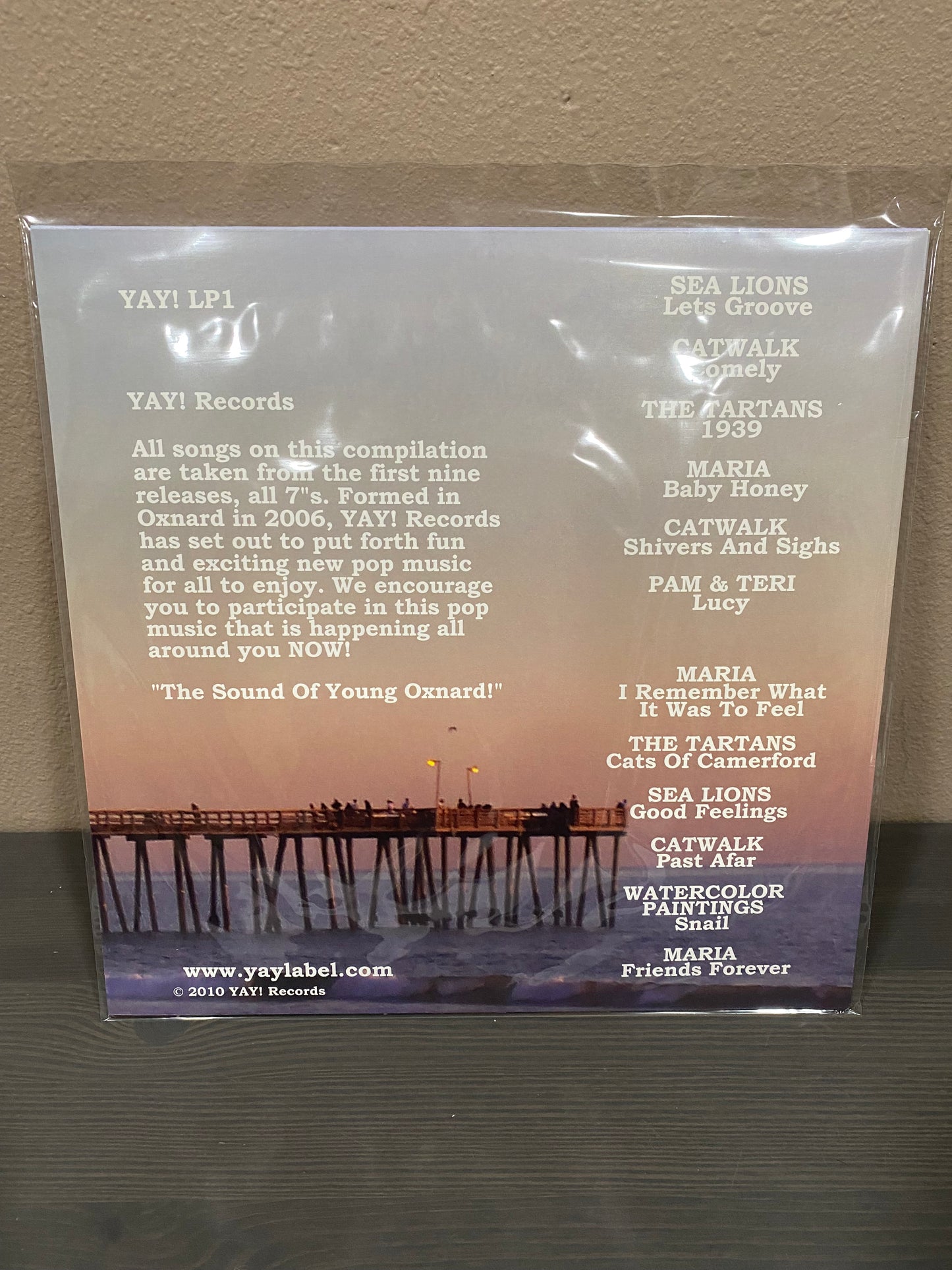 YAY! Records Compilation LP "Pleasant Valley" INDIEPOP Sea Lions Maria Catwalk C86 SARAH