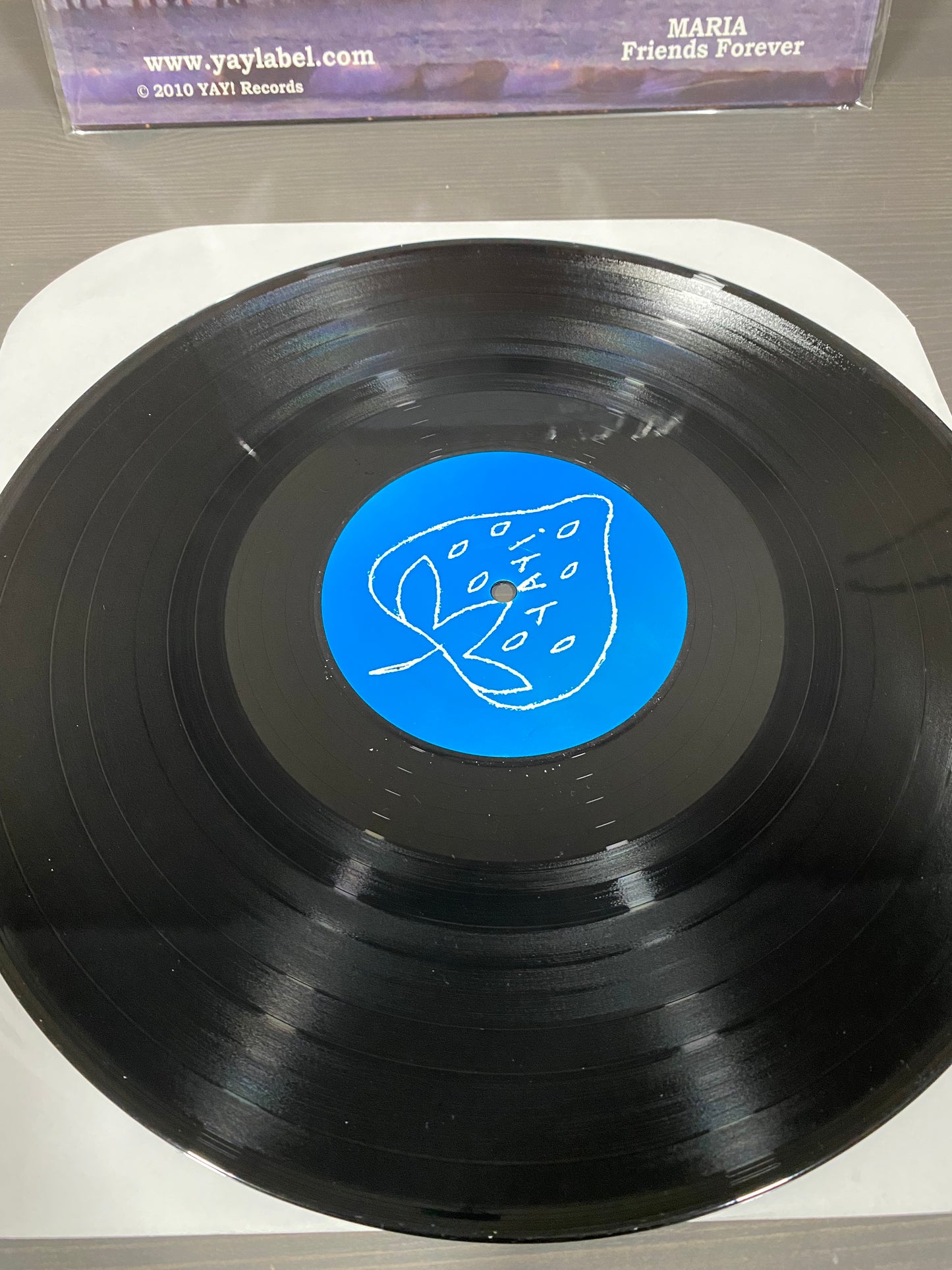 YAY! Records Compilation LP "Pleasant Valley" INDIEPOP Sea Lions Maria Catwalk C86 SARAH