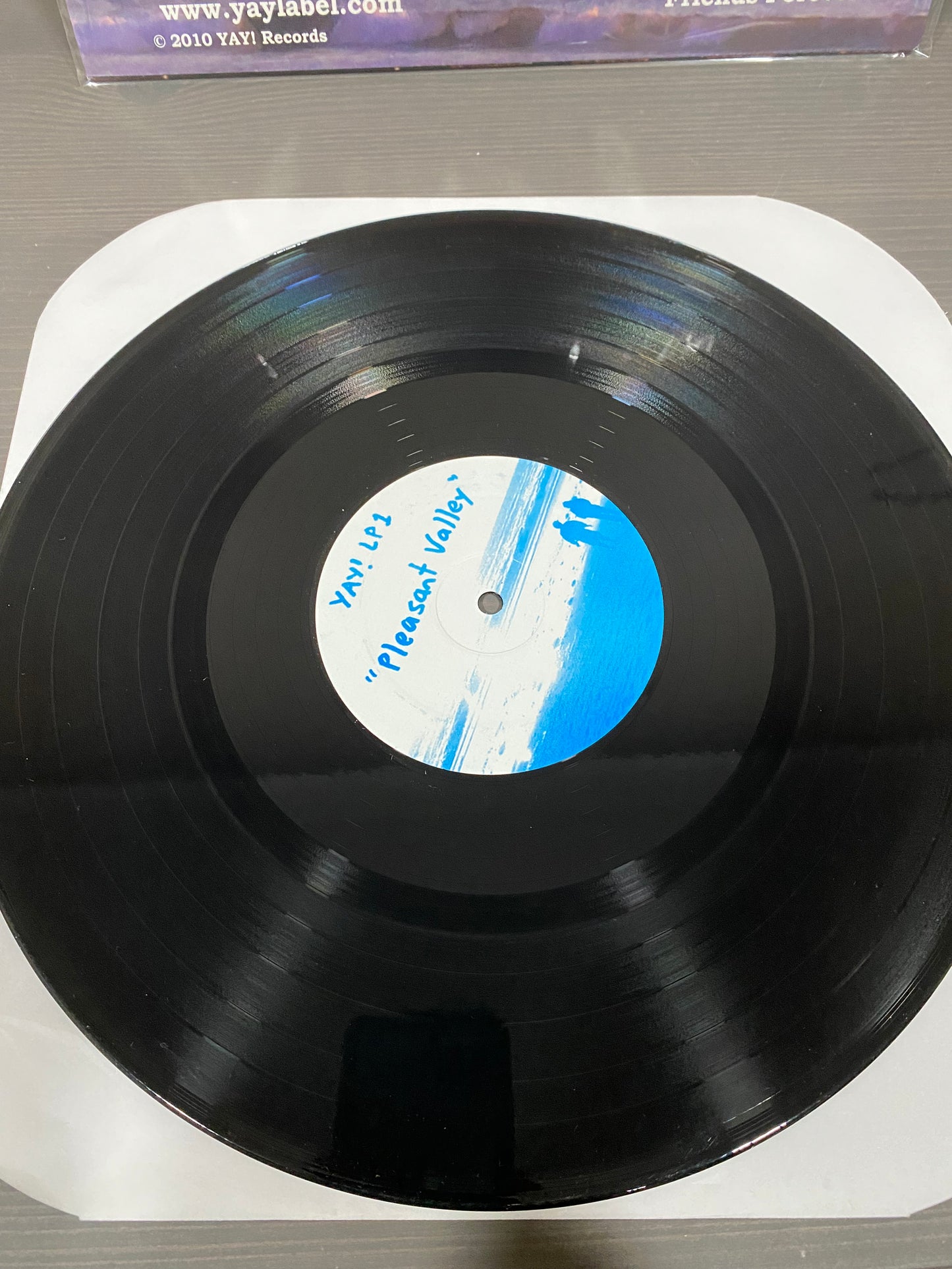 YAY! Records Compilation LP "Pleasant Valley" INDIEPOP Sea Lions Maria Catwalk C86 SARAH