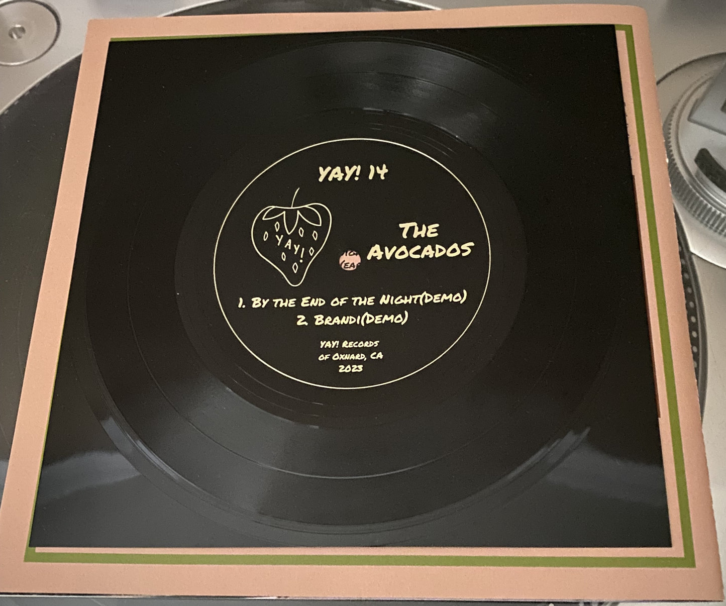 The Avocados "By The End Of The Night" 7" Flexi Disc and Fanzine YAY! Records INDIEPOP Sea Lions Catwalk C86 SARAH