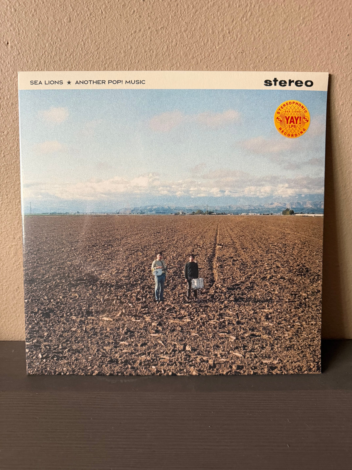 Sea Lions - Another POP! Music LP YAY! Records OXNARD INDIEPOP Maria Catwalk C86