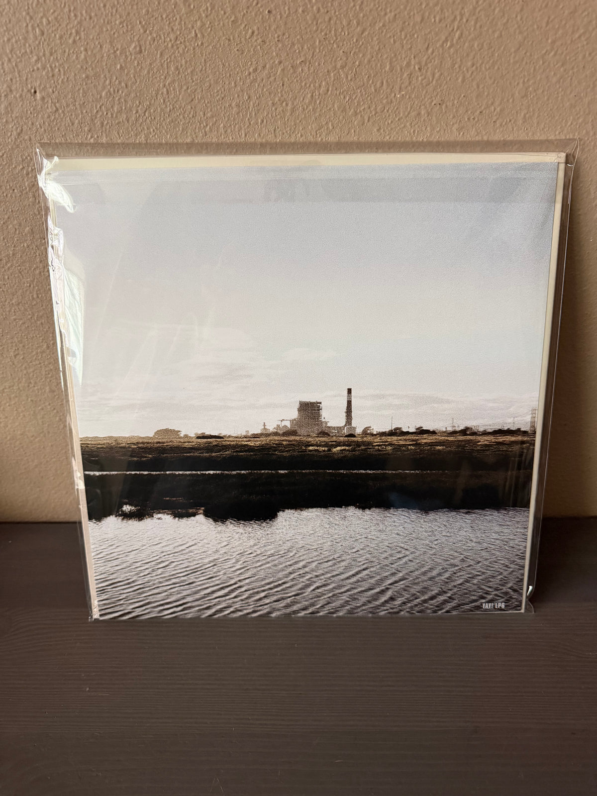Sea Lions - Another POP! Music LP YAY! Records OXNARD INDIEPOP Maria Catwalk C86