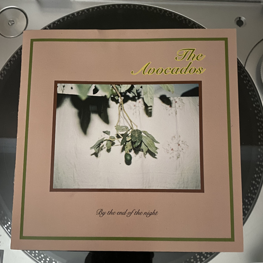 The Avocados "By The End Of The Night" 7" Flexi Disc and Fanzine YAY! Records INDIEPOP Sea Lions Catwalk C86 SARAH